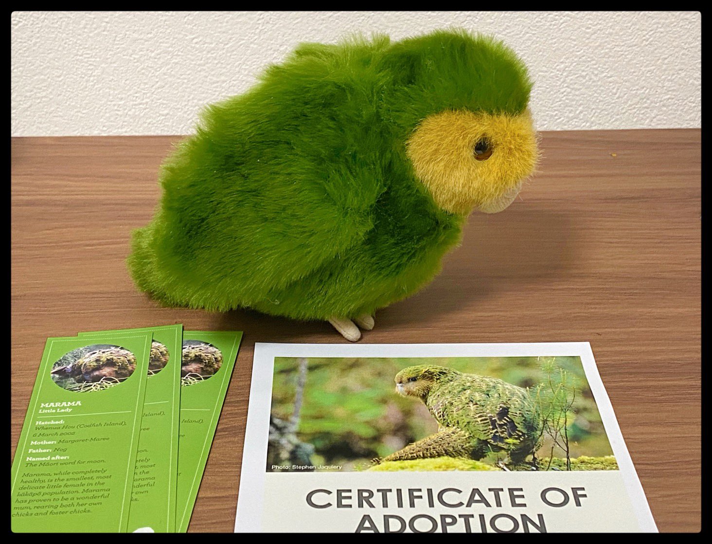 特大カカポぬいぐるみ（Kakapo Recovery 里親特典） - メルカリ