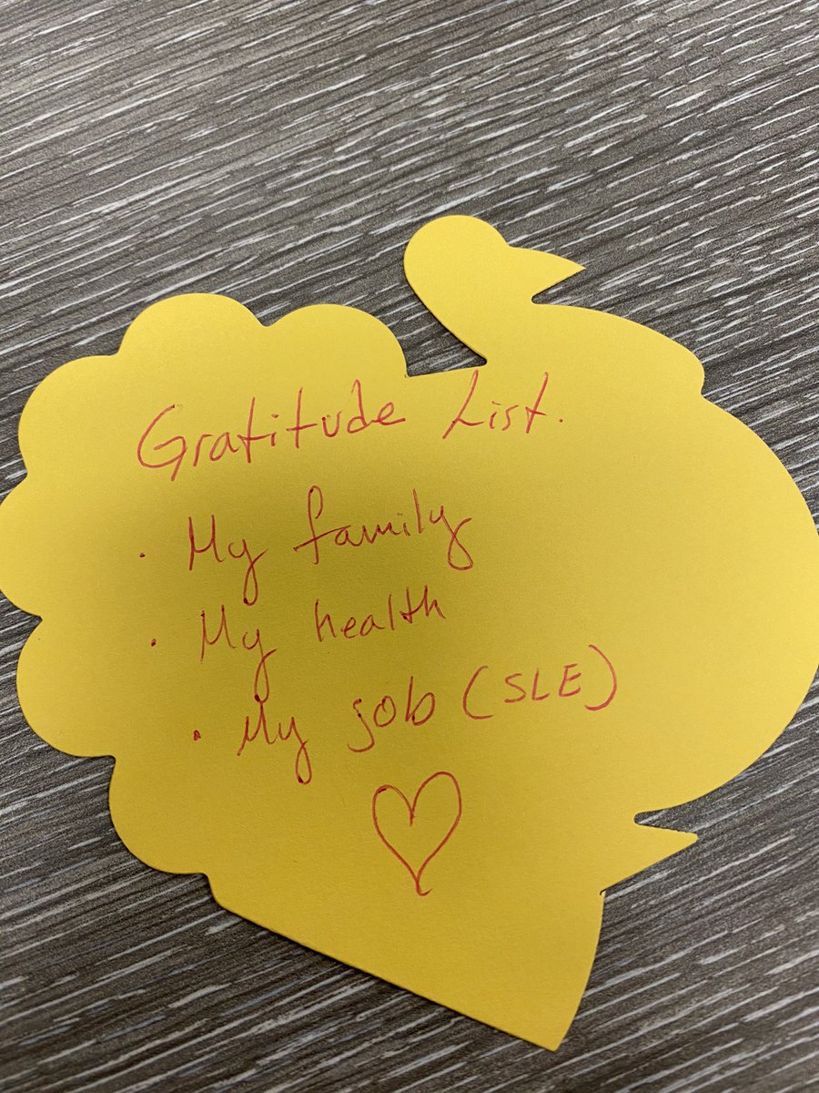 leonorm665's tweet photo. Gratitude list #THANKFULFORSLE #ExperienceSLE https://t.co/P2U1sAh7gC