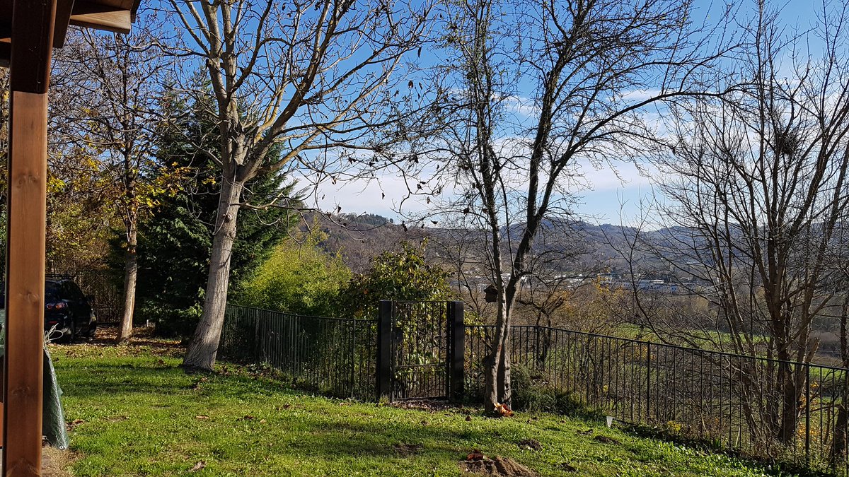 WendlesToo's tweet photo. Loving my new view! #Canelli
#Livingmydream https://t.co/MOFm1Ywsrw