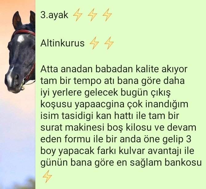 Alicengiz_42's tweet photo. #altinkurus direnemedi hasan in hışmına uğradık 😀 https://t.co/dT1HQSbZtm
