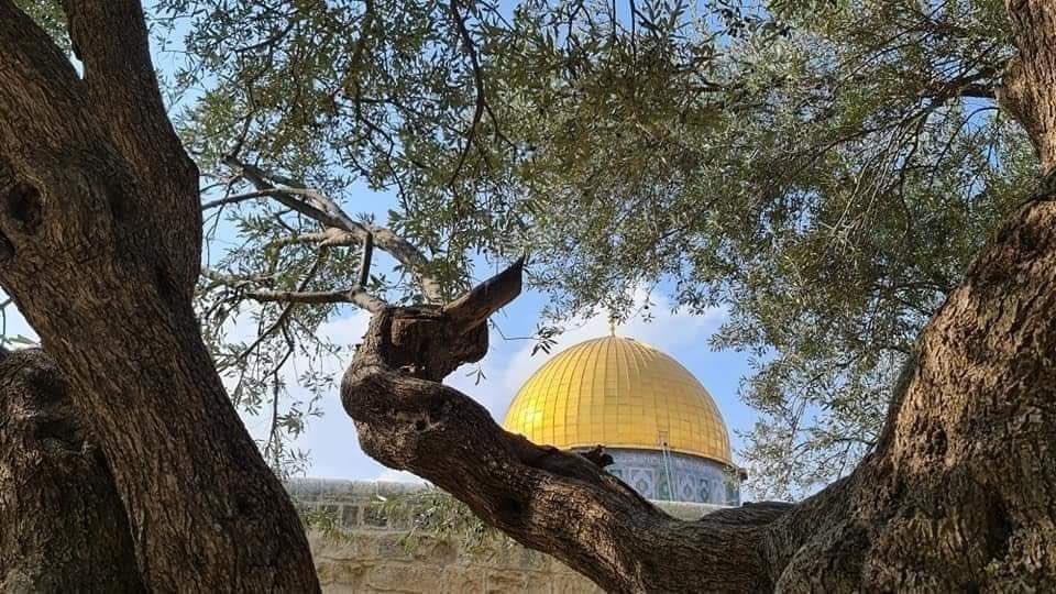 hayatchoubassy's tweet photo. These are the best places in the wolrd  to see ❤️  #القدس https://t.co/LWiKd73zl4