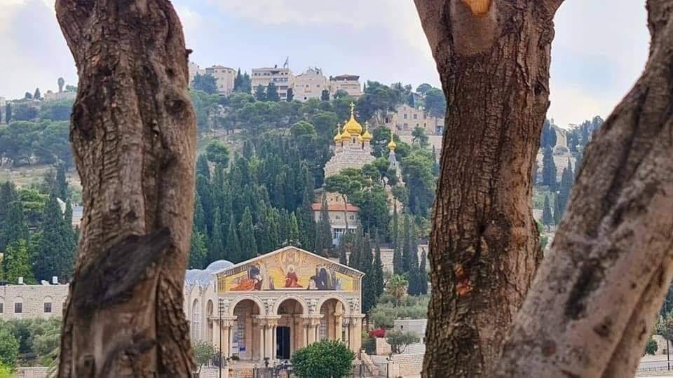 hayatchoubassy's tweet photo. These are the best places in the wolrd  to see ❤️  #القدس https://t.co/LWiKd73zl4