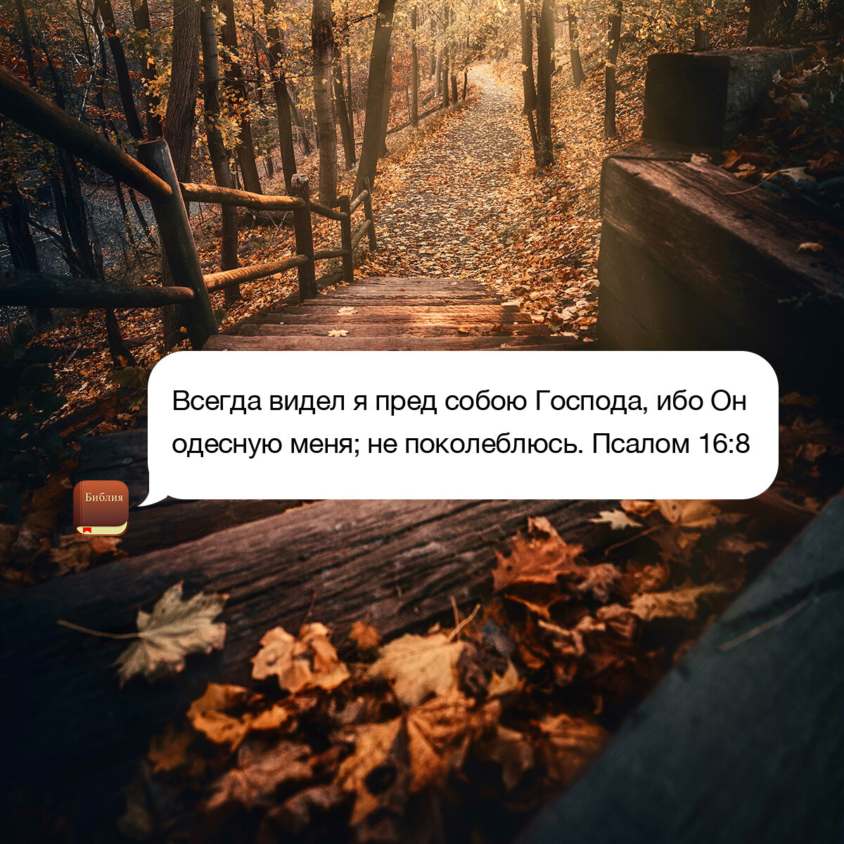 iskateliboga's tweet photo. Всегда видел я пред собою Господа, ибо Он одесную меня; не поколеблюсь. Псалом 16:8
 #ИскателиБога #ДиБ #молитва #Бог #христиане #ДвижениеИскателейБога #GodSeekers #IskateliBoga #pray #God https://t.co/surY8CXErB
