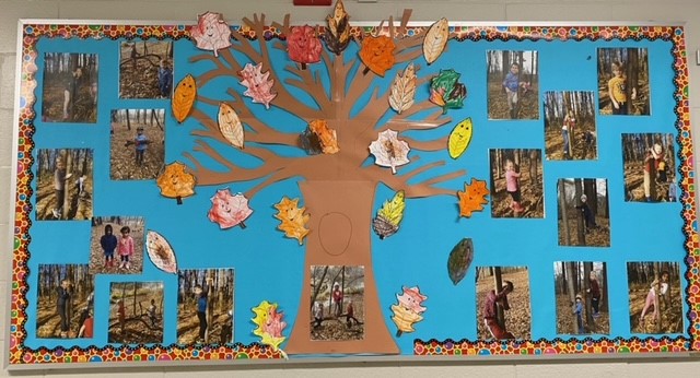StDavidWildcats's tweet photo. Mrs. Friedrich and Mrs. MacDonald's kindergarten students enjoying Nature's Playground right in our backyard! #stdavidjoy https://t.co/ZyCX3NnIAp