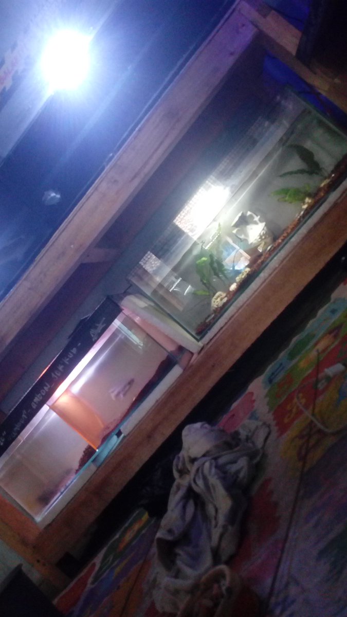 TThok016's tweet photo. @bocilhaha Wkwk https://t.co/cpeOOPGv9E