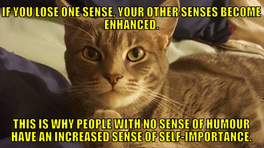 HasBenAgain's tweet image. 