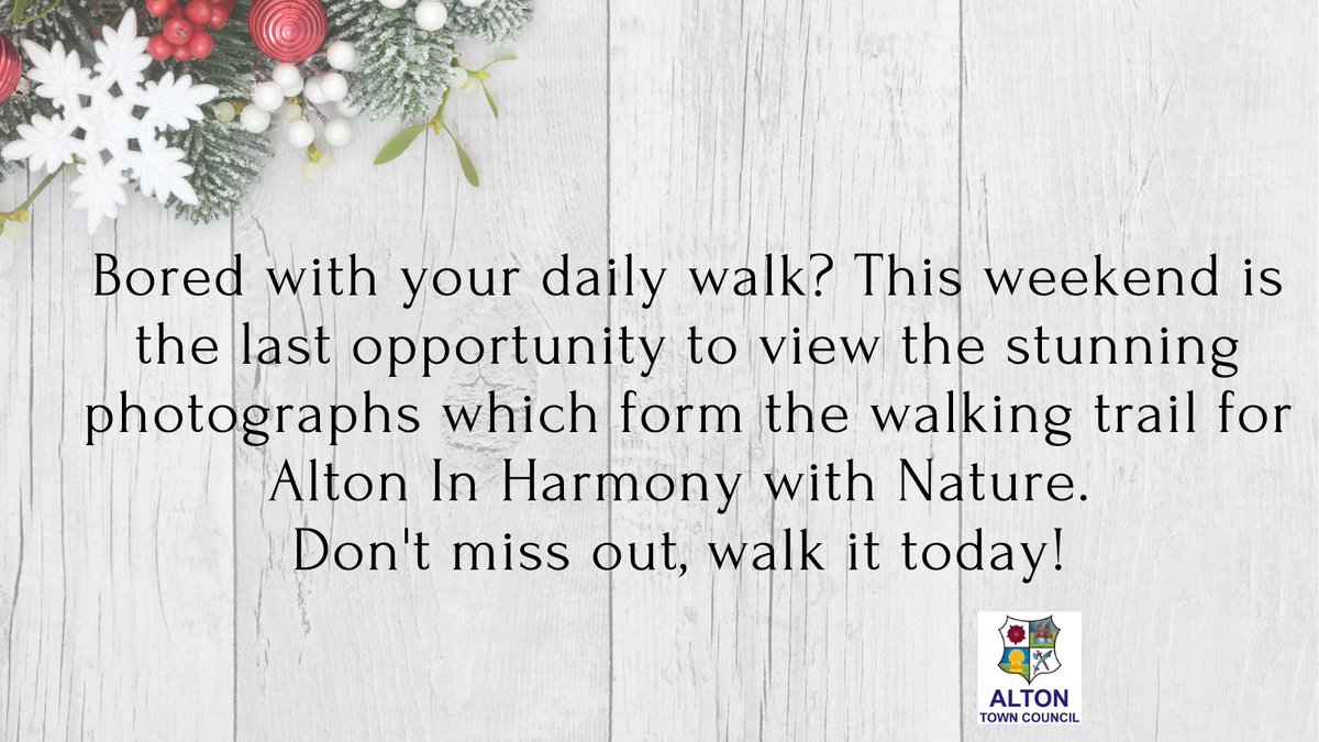 #shoplocal  #altonshoplocal  #christmasinalton  #smallbusinesses  #inharmonywithnature