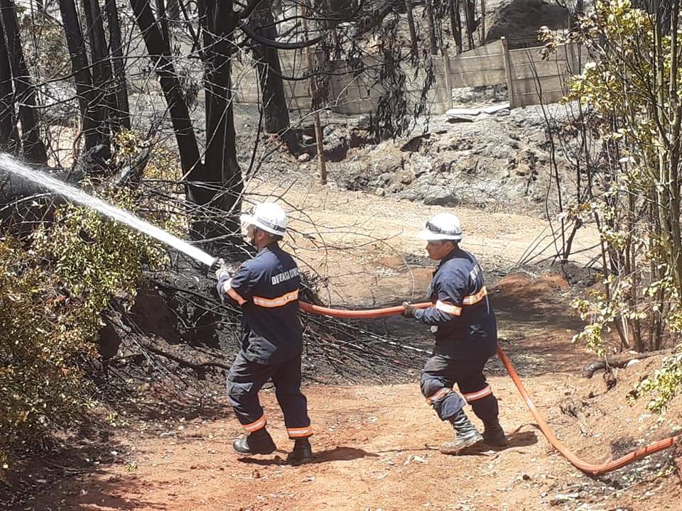 Defensacivil_V's tweet photo. Nuestros voluntarios @DefensaCivilCL dependiendo de la contingencia y temporada reciben inducción y capacitaciones para apoyar y complementar el trabajo de las instituciones del Sistema de Protección Civil. https://t.co/Fhv4XSKDOQ