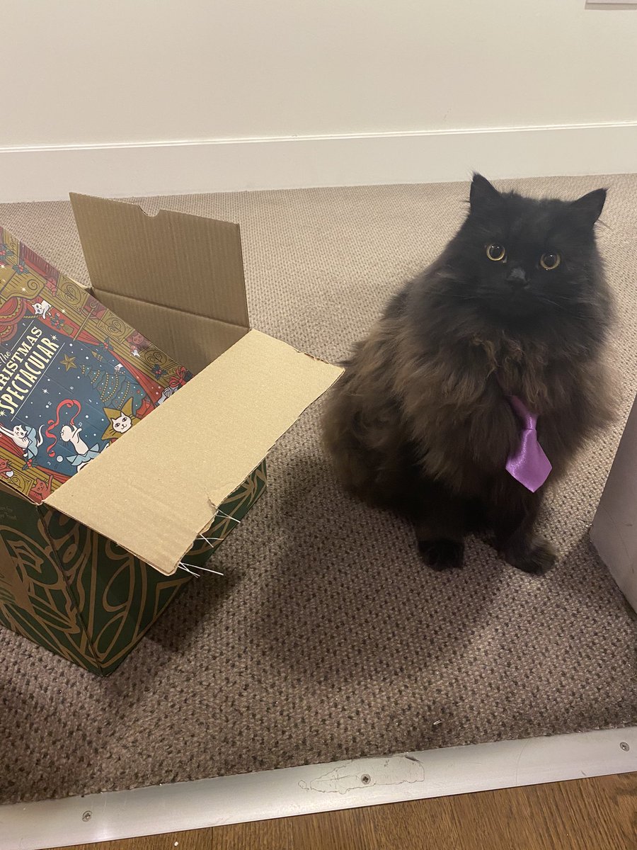 meow_london's tweet photo. Just got a parcel from my Auntie!...
I got my Advent Calendar and equally important.... a box! 😸
Thank you Auntie! 🐾
#adventcalendar #catboxes #smile #catlife #xmasgifts #pets https://t.co/7l9BKM0Wrd