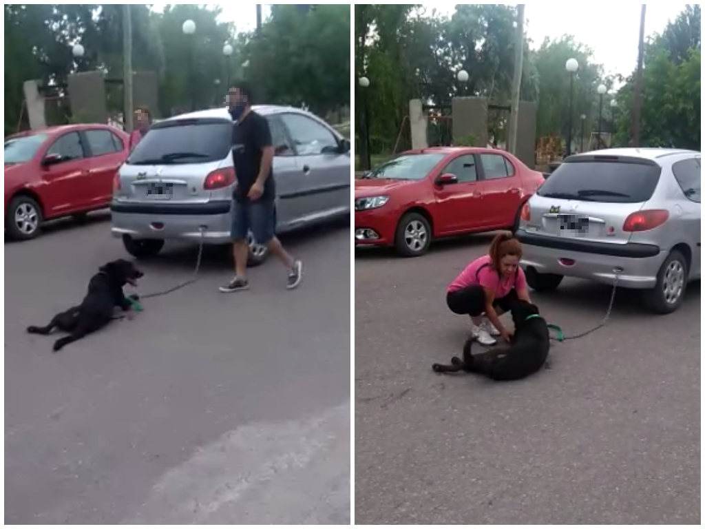 elsolonline's tweet photo. Video: ató a su perro al auto y lo arrastró por calles de Tunuyán https://t.co/ybUkiYMeO6 https://t.co/wSO1w0gfcv