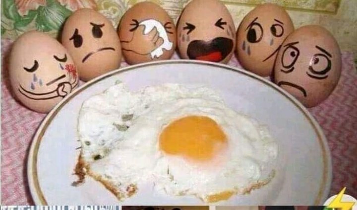 aravo_sambo's tweet photo. saddest pic on Internet๐ถ๐
Accept or not ๐ถ
#RIPEGG https://t.co/CEwu4w87JJ
