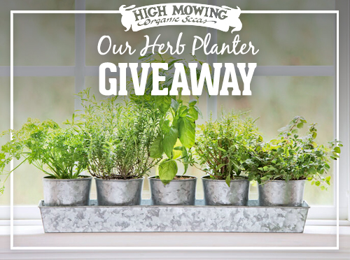 High Mowing Seeds (@highmowingseeds) on Twitter photo 2020-11-21 03:17:35 Its the season of indoor #growing and our giveaway this month is a great way to get started! This month’s #giveaway winner will receive the galvanized herb #planters with rectangular tray from @GardenersSupply. Its the season of indoor #growing and our giveaway this month is a great way to get started! This month’s #giveaway winner will receive the galvanized herb #planters with rectangular tray from @GardenersSupply.