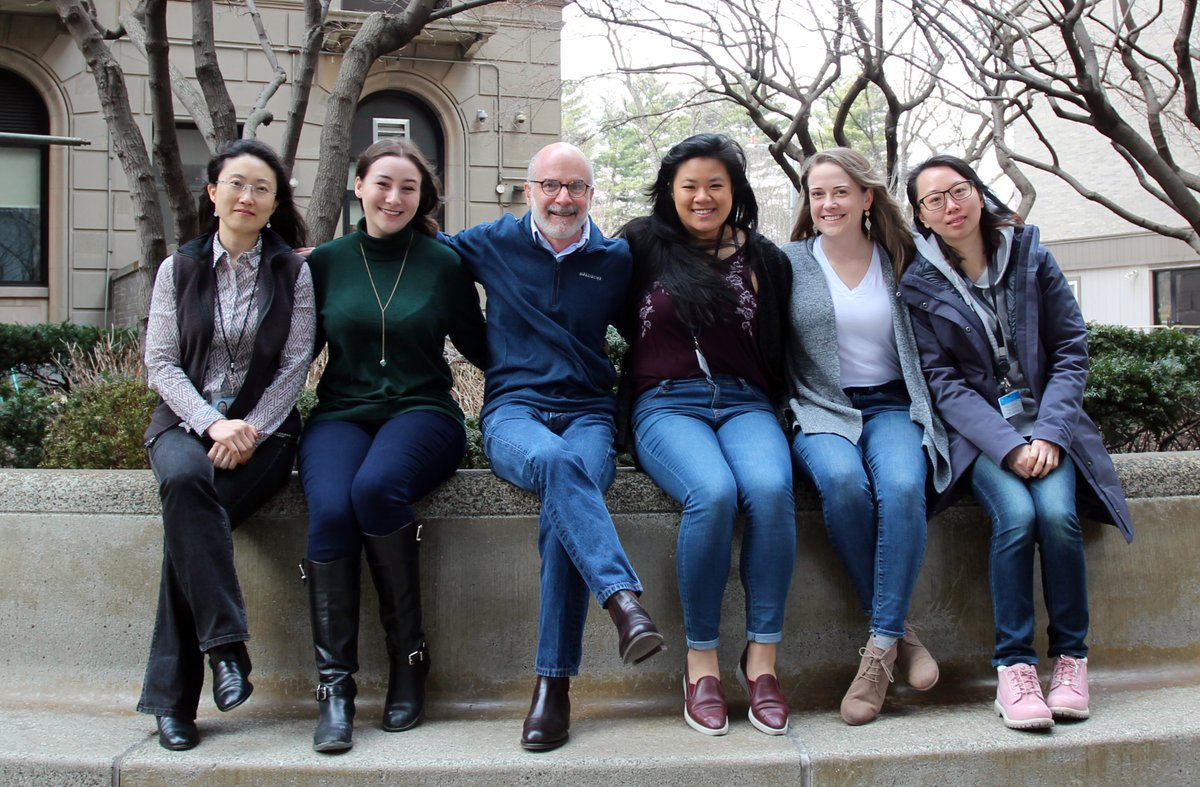 DRSISMMS's tweet photo. Happy Friday! Meet the Krauss lab! @KraussLab studies early embryonic patterning with the goal of understanding the complex causes of common birth defects, and they study adult stem cells with the goal of understanding tissue regeneration. Want more? Apply to DRS @GradSchoolSinai https://t.co/gXh3BfdGXJ