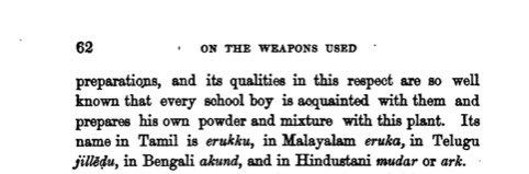 Charcoal obtained from the destructive distillation of arka wood is highly valuable and was used as a component of explosive powder (my dad confirms this, growing up he saw arka (jilledu) coal powder used in flower pots, etc.