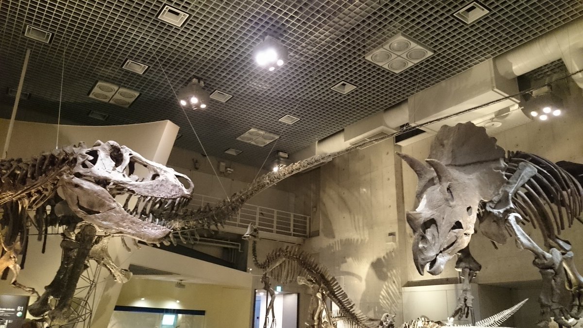 さとし工房 No Twitter 金曜日だから化石貼る Fossilfriday 国立科学博物館 ティラノサウルスvsトリケラトプス Tyrannosaurus Vs Triceratops 国立科学博物館の地下1階にて撮影