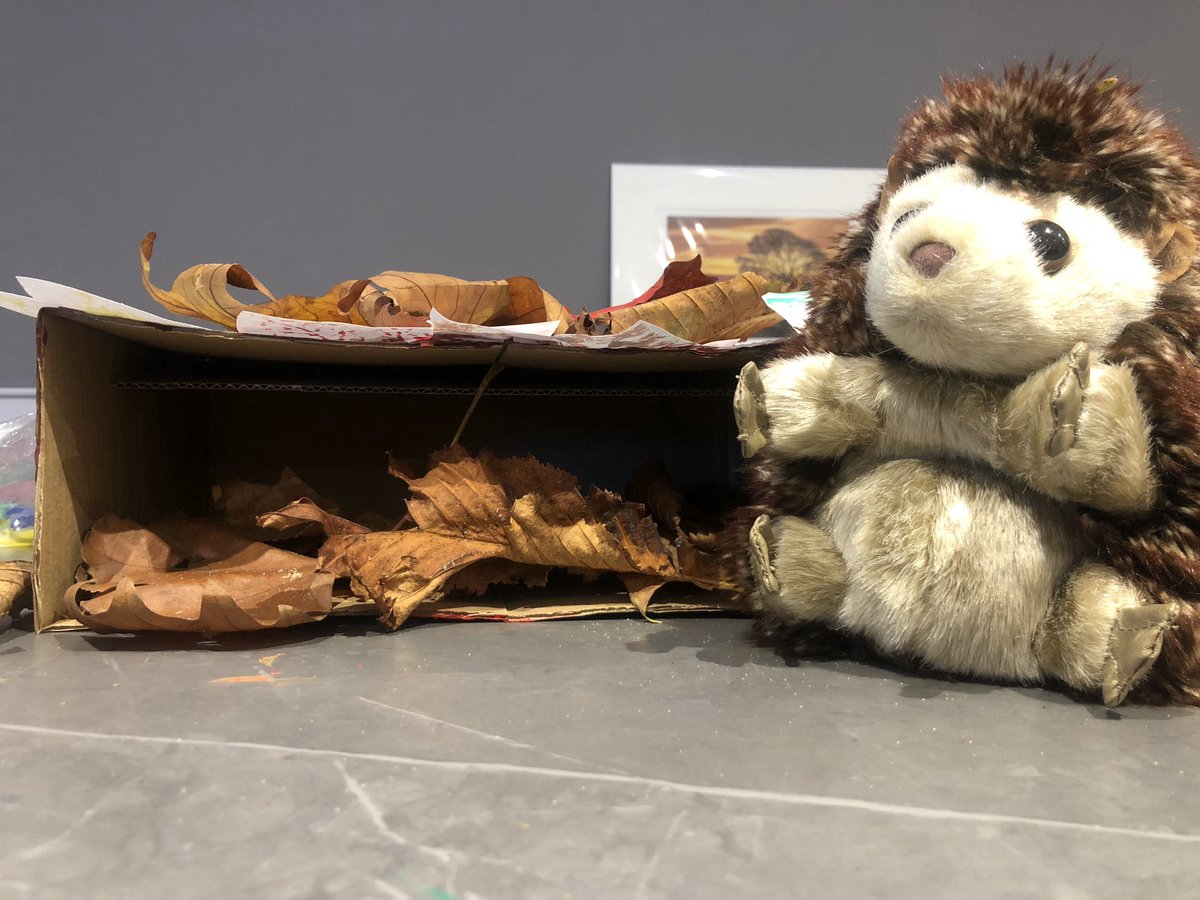 PATHSEdUK's tweet photo. 🎉🥳 SELebrate... it’s Friday!! 🥳🎉

👏🏼Every Friday for the next few weeks we will be sharing something FUN with links to SEL!

🎉 This week we were talking about feeling ‘safe’. Safe is a comfortable feeling. One of our coaches has made a safe space for Henrietta! https://t.co/Gag4zbfRV9