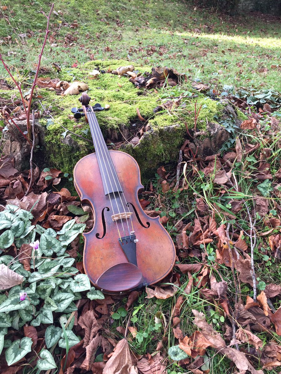 ThunderMutters's tweet photo. The Thunder Mutters returns with November from John Clare’s Shepherd’s Calendar, dressed as ever by tunes from Clare’s tune book played by Becky. This month also features a response to Clare’s work from @ElvisMcGonagall .

https://t.co/FfcjPsr2lj https://t.co/jP8i538wTm