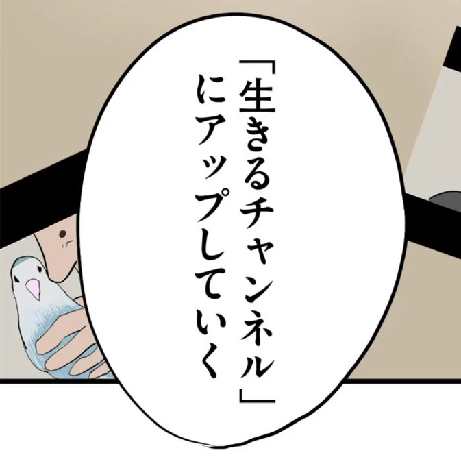 今週のLINEマンガ連載「りさこのルール」、うちで飼ってるコザクラインコ「きよちゃん」出演してるの気づきました? 