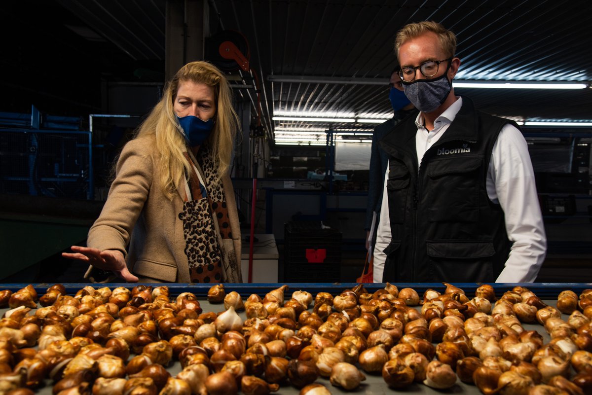 NLintheUSA's tweet photo. Great to celebrate our "Day of the Entrepreneur” by visiting Dutch-US company @bloomiaflowers in King George, Va., the largest #tulip🌷 grower on the East Coast. #DagvandeOndernemer https://t.co/XfykRF5GPZ