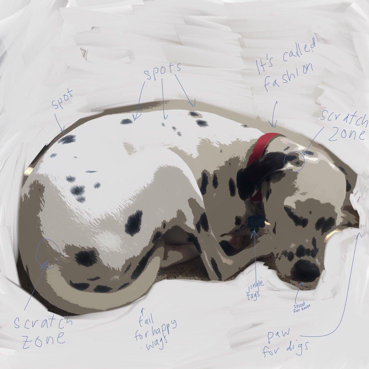 dippythedally's tweet photo. @preciousdoggo I have a version too! https://t.co/k0NDQ9u9MS