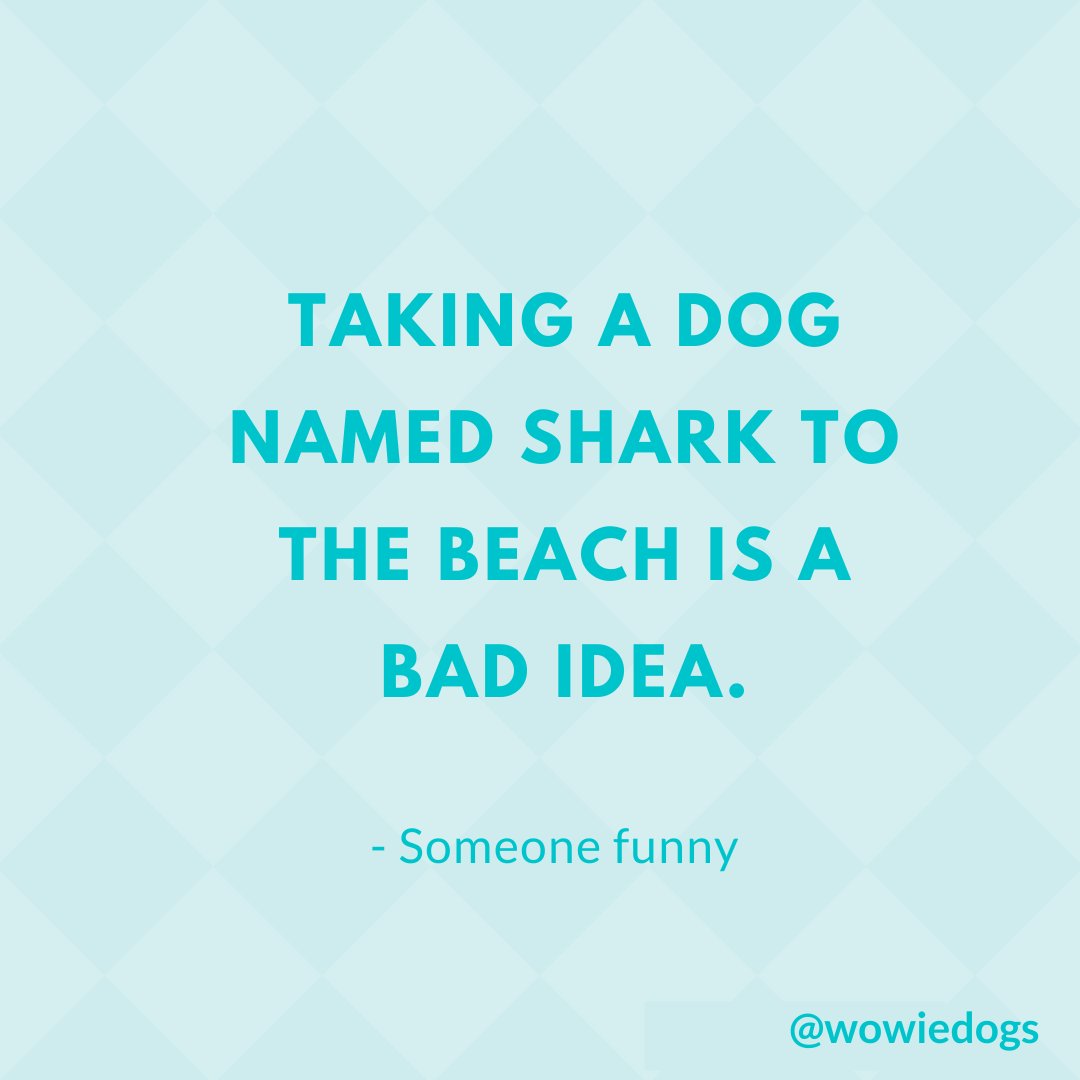 wowiedogs's tweet photo. Just saying' π€£ π¦ π
πΎ
#doglove #gooddog #quotes #dogquotes #wowiedogs https://t.co/scg3NOjldv