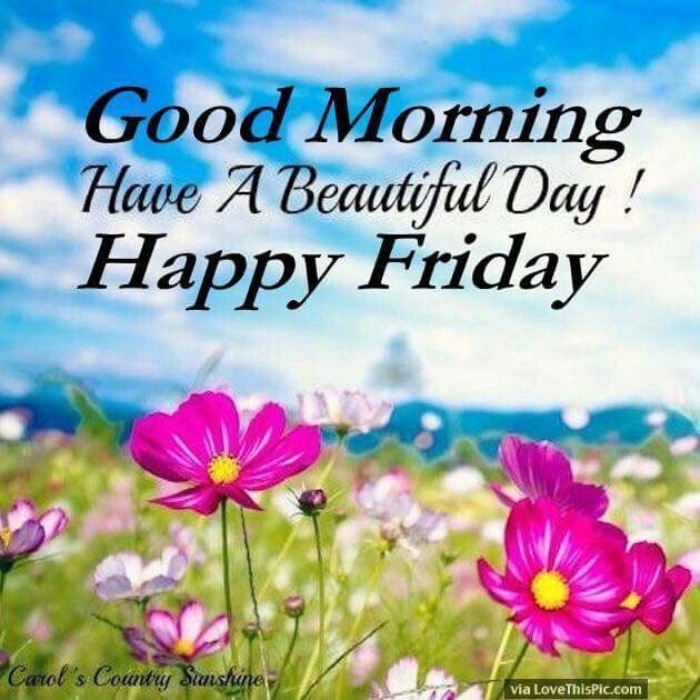 Metis71940873's tweet image. Today is a great day to have an awesome day! The long-awaited Friday is here... Now that you are up and moving around, you can move mountains. It all starts with your mind!

#powerandperseverance #mindovermatter #coachingforexcellence #metiscareercoaching