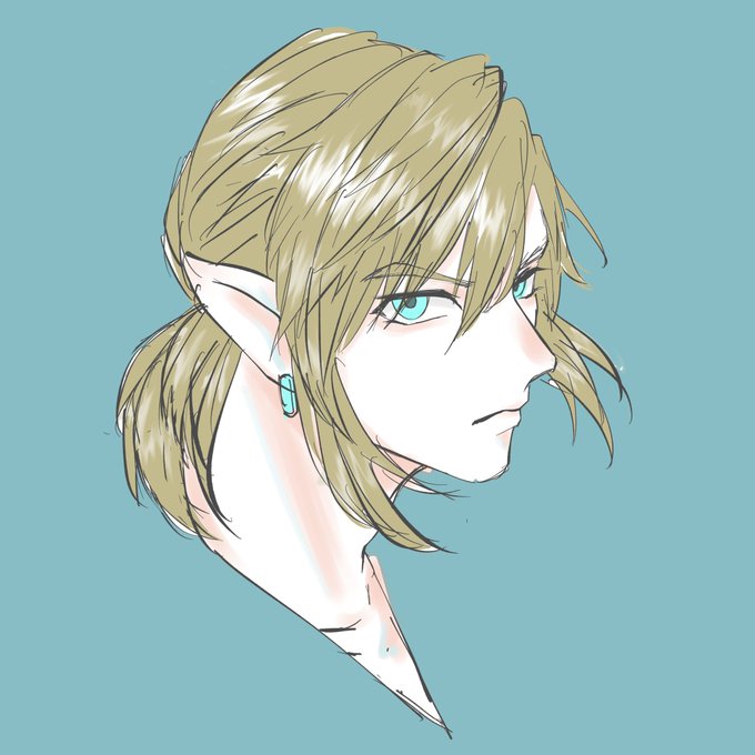 ゼルダ無双のtwitterイラスト検索結果
