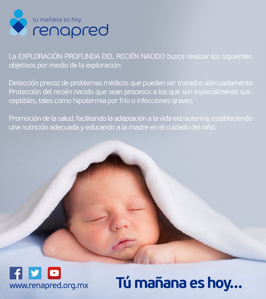La #ExploraciónProfundaDelReciénNacido busca realizar los siguientes objetivos por medio de la exploración:
Detección precoz de problemas médicos que pueden ser tratados adecuadamente. visita: renapred.org.mx