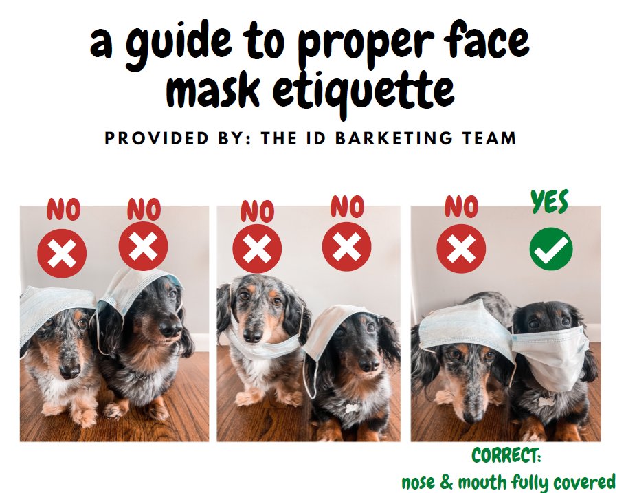 iDProductsCT's tweet photo. 🌟IMPAWTANT PSA from the @iDBarketingTeam🌟 https://t.co/rUbB2pNUJb
