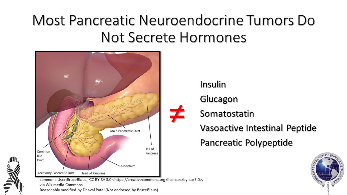 American Association of Endocrine Surgeons tweet media