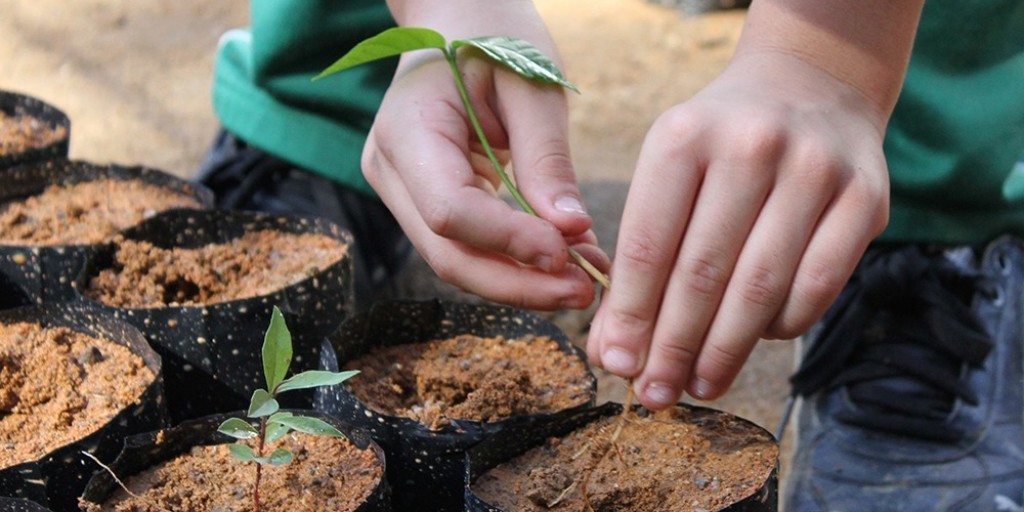 By choosing Flexiteek 2G synthetic teak, you are helping to plant trees in areas lost to deforestation with @worldlandtrust #Flexiteek2G #20YearsofInnovation #reforestation