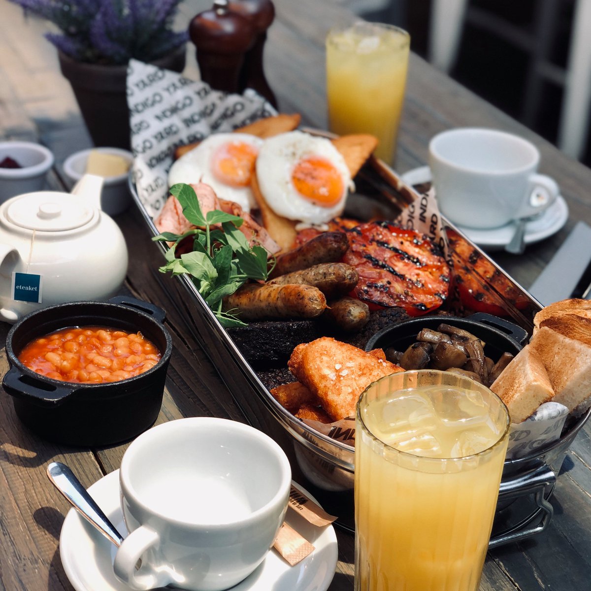 Indigo Yard tweet media