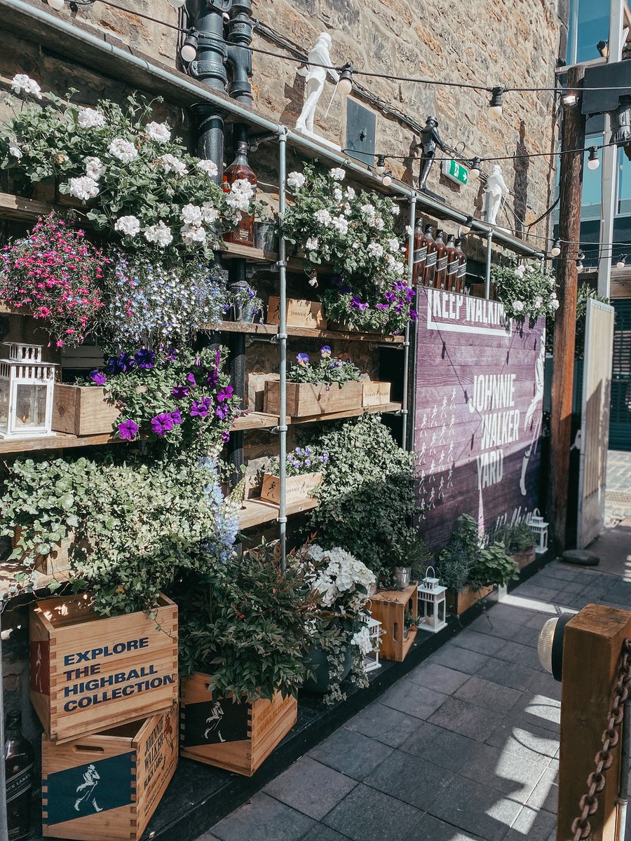 Indigo Yard tweet media