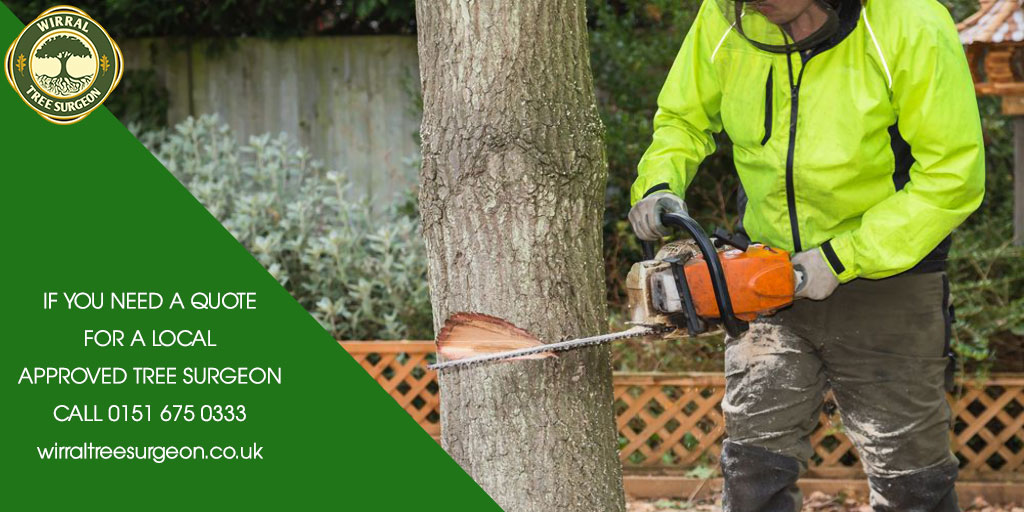 Wirral Tree Surgeon tweet media