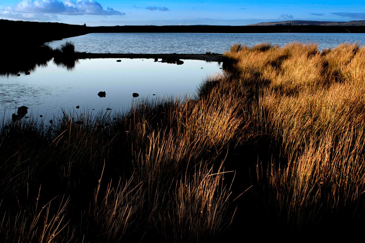 AnneFoxArtist's tweet photo. I have been taking a look at different bodies of water, here is one from  my upland reservoir series. You can see what I've been doing here https://t.co/miKuZ0yng0 or at  @slowtheflow_UK https://t.co/suJDTA630I