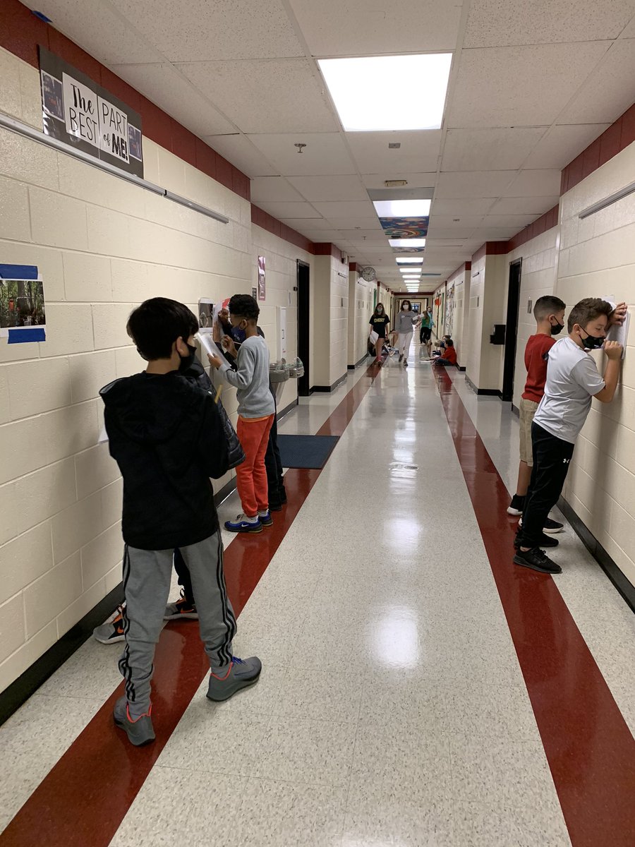 RandiGenesi's tweet photo. Doing a gallery walk today to kick off our next unit with our observations and wonderings! https://t.co/YaUdJ5WC4d