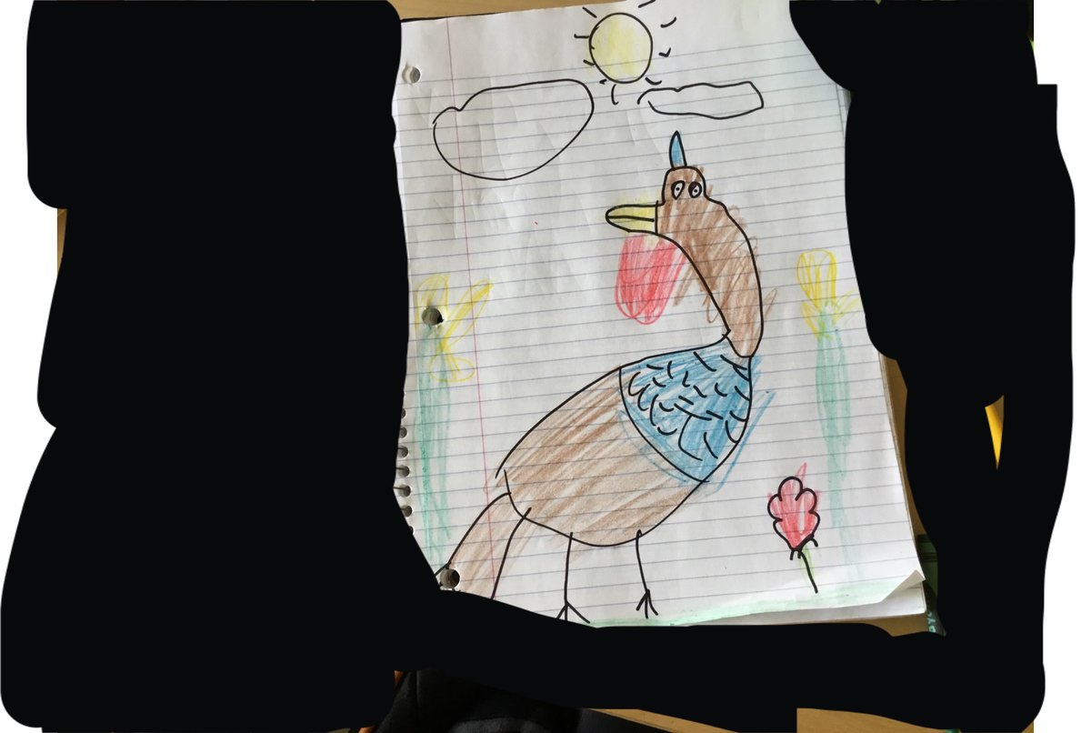 Hoffman-Boston Art tweet media