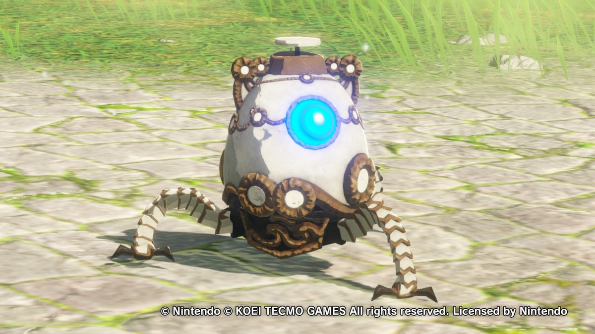 HermitAether's tweet photo. #HyruleWarriors #AgeofCalamity #Zelda #NintendoSwitch https://t.co/YG9sHoLepr