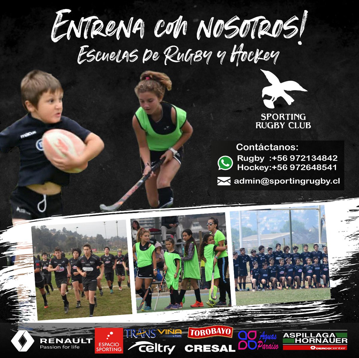 SportingRugbyenVivo tweet media