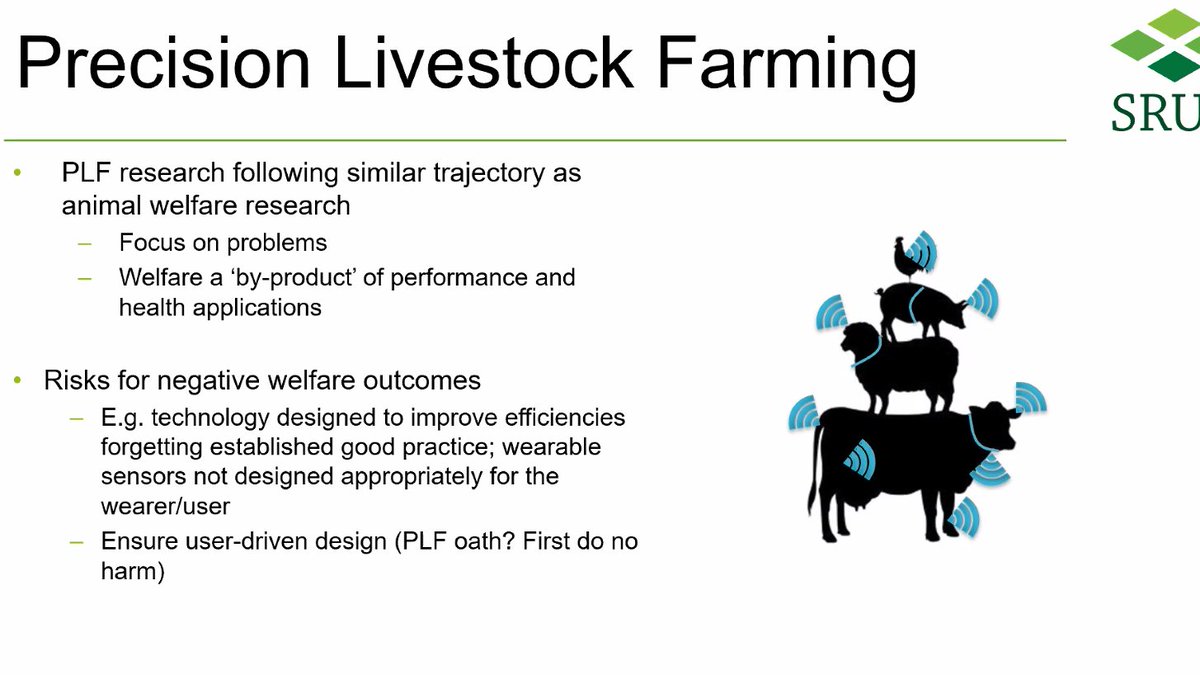 Nuno_H_Franco's tweet photo. Emma Baxter kicks off the afternoon session. She starts by pointing out some potential negatives of PLS technology for welfare, e.g. when focus on efficiency and performance leads to the disregarding of best practice. Also, sensors may negatively impact animals. #PLFworkshop https://t.co/vx6Vra0LqB