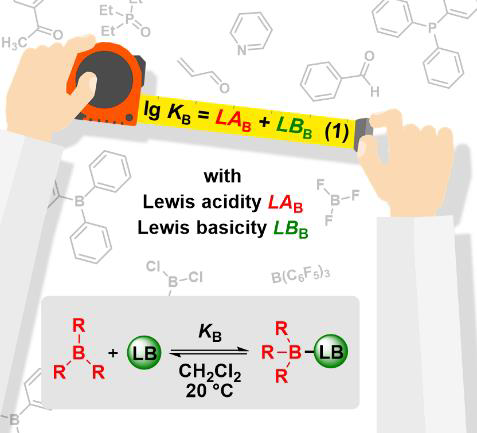 Boron_Chemistry's tweet photo. B̲r̲e̲a̲k̲i̲n̲g̲ ̲n̲e̲w̲s̲ ̲i̲n̲ @Boron_Chemistry: Lewis acidic boranes, Lewis bases, and equilibrium constants: A reliable scaffold for a quantitative Lewis acidity/basicity scale (@ChemEurJ): https://t.co/irNxyhVrg4 (@RJ_Mayer and @ A.Ofial from @LMU_Muenchen). https://t.co/Gp2XjKh2xl