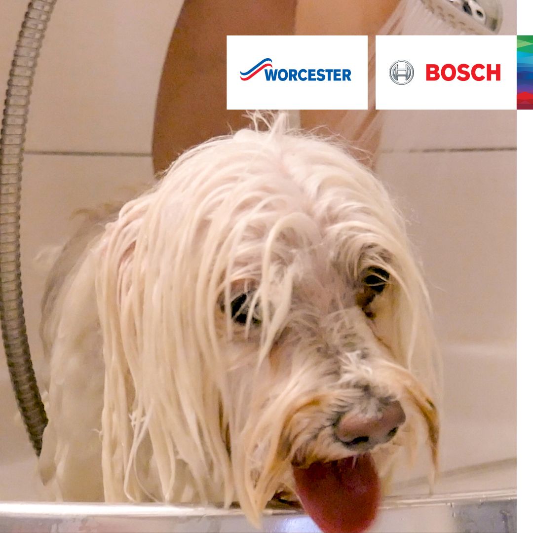 When fhe dog needs a warm shower too 🐶   😂  @WorcesterBosch #CertifiedInstaller #10YearGuarantee #StayCosy