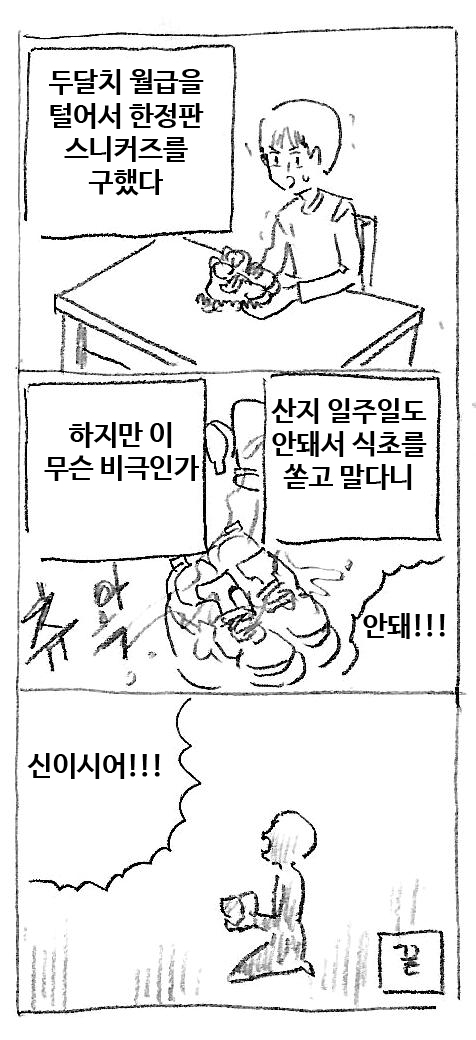 비극 
