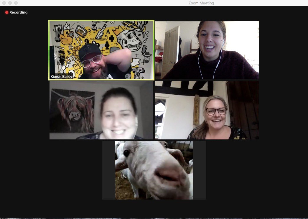 boybaileyspeaks's tweet photo. Just a standard zoom call this morning at @experience_101 doing some Christmas planning and who popped in? Lisa the “hangry” goat from @CronkshawFold it’s an amazing idea & aswell as raising funds for their charity, it clearly raises spirits! #exp101 https://t.co/WCM3p2MezH
