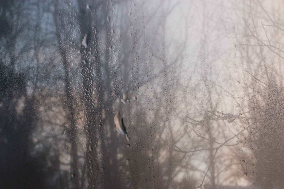Mirja_Paljakka's tweet photo. ’You are the sky. Everything else - it’s just the weather.’
-Pema Chödrön-
#afterrain #throughwindow #photography #november2020 #Finland #lightandshadow https://t.co/4rY7AhhMtE