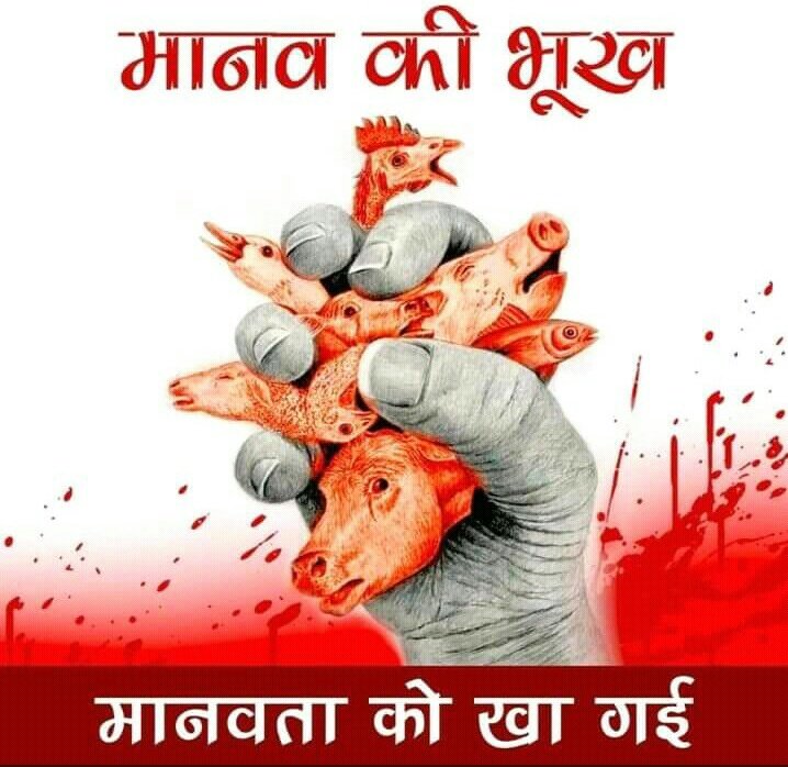 BrG3YO78IPFl2D2's tweet image. बहता जल खुले-आकाश मे उडते पक्षी-घरती पर खुले चरते नंदी गौराष्ट्रमाँता व जानवर-गुरुकुल निर्माण करते हुंनरमंदो युवाओं-हल चलाता अन्नदाता-चलता संत-भाता मंन-माहान राष्ट्र की है पहचान
इनमें से कुछ भी रुक बंध बांध दिया जाऐ तो #सड जाता 
#जय_प्राकृती_भुमीगंगनवायुआगनीर_जीवजानवरमानव रक्षा