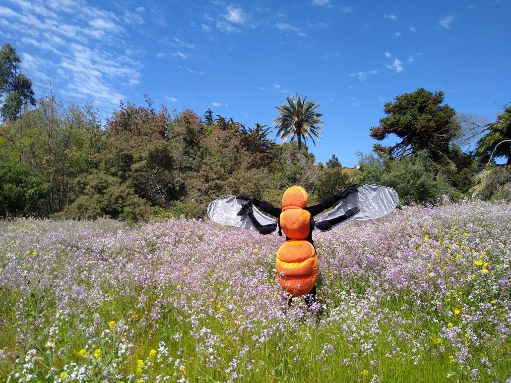 ¡Bzzzzz! Es el sonido del Bombus Dahlbomii y su fantástico show "Abejorro, un viajero nativo" 🐝 ¡Échale un look! fecivalparaiso.cl/index.php/2020… #FeciValparaíso #CulturaCientífica #Valparaíso #FelizViernes