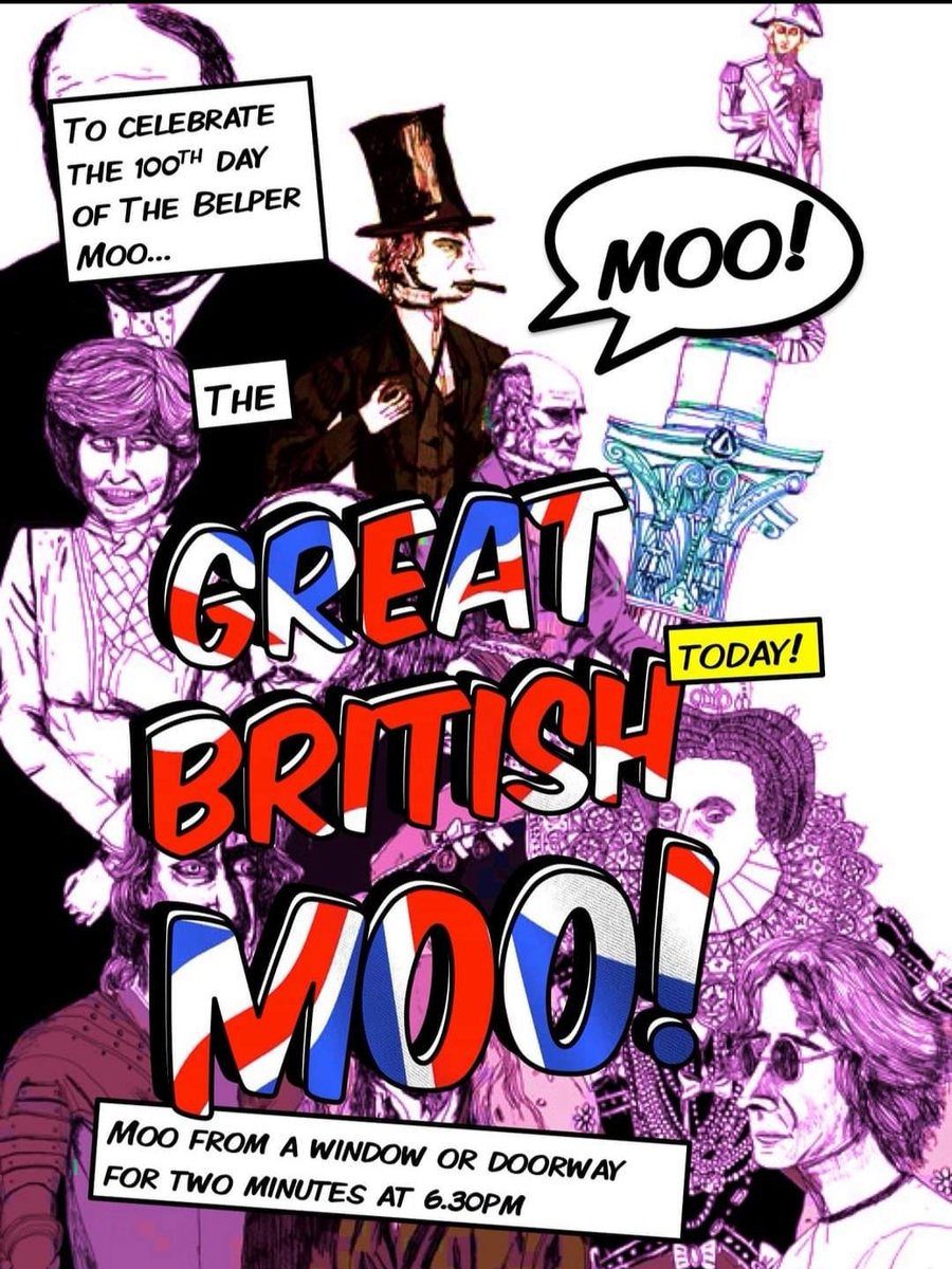 thebelpermoo's tweet photo. Happy birthday #thebelpermoo ! 
We've made it to day 100! 🎉🎈🎊
You are all amazing!!

Let's make it a huge one tonight! Make as much noise as you can! Get your lights on, do whatever! So long as there is a moo get creative!! 
#thegreatbritishmoo #lockdownmoo https://t.co/JrMBqwe09c