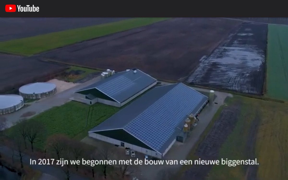 sabinegrobbink's tweet photo. #dagvandeondernemer
Als #boerin ben ik van alle markten thuis!Ik noem mijzelf voor de grap #varkensgynaecoloog insemineren,scannen,alles rondom geboorte van de biggen begeleiden.Ik ben ook #werkgever, #energieleverancier,#telefonist tussen de #varkens #gezinsbedrijf #duurzaam https://t.co/FEaXsEJihU