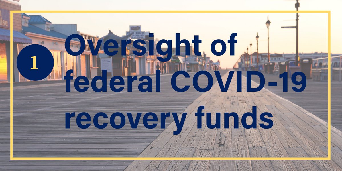 My office will be focused on ensuring that New Jersey’s use of federal funds to recover from COVID-19 will be accountable and transparent. We will identify waste, fraud, and abuse of any kind as we recover from this public health and economic crisis.